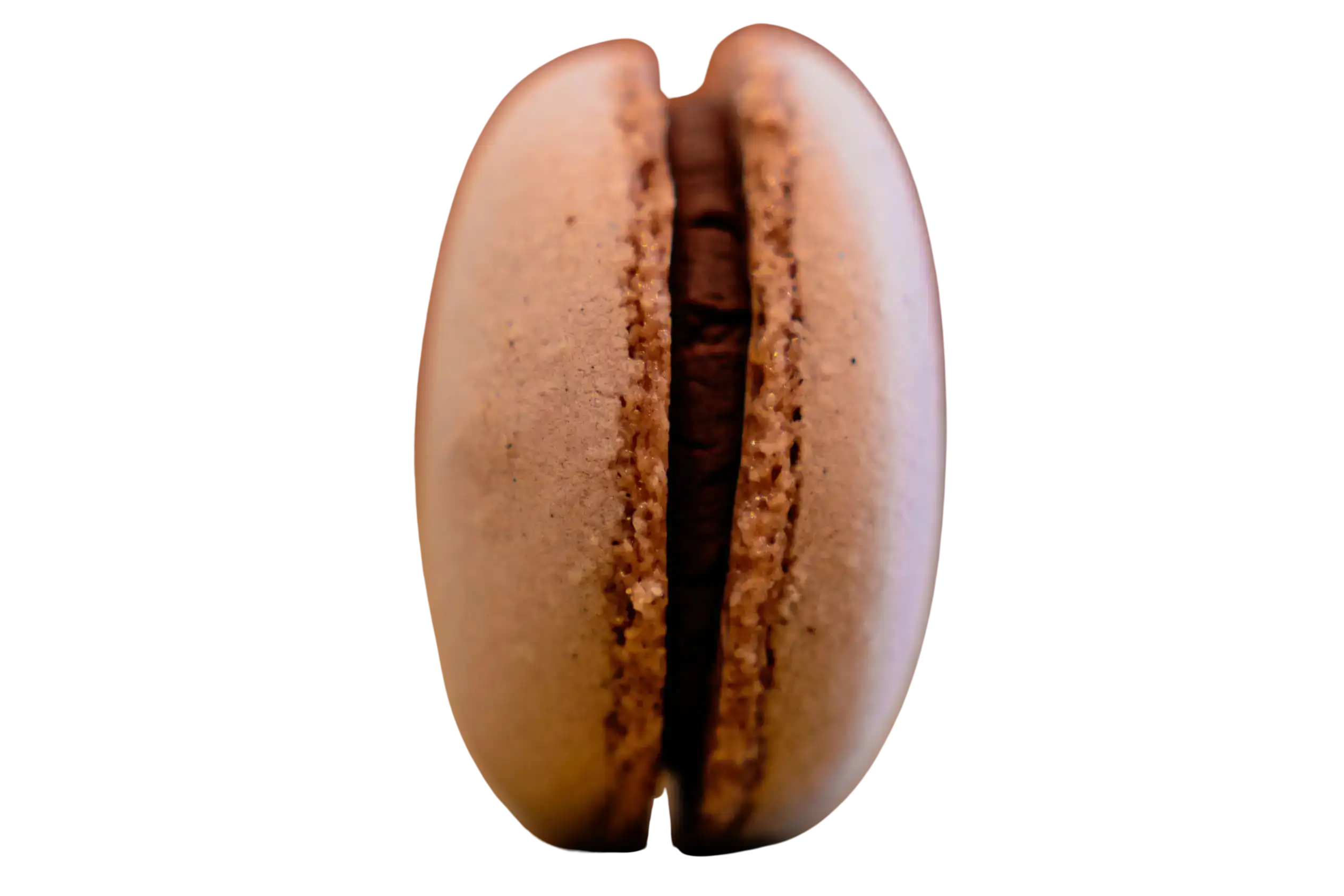 Chocolat