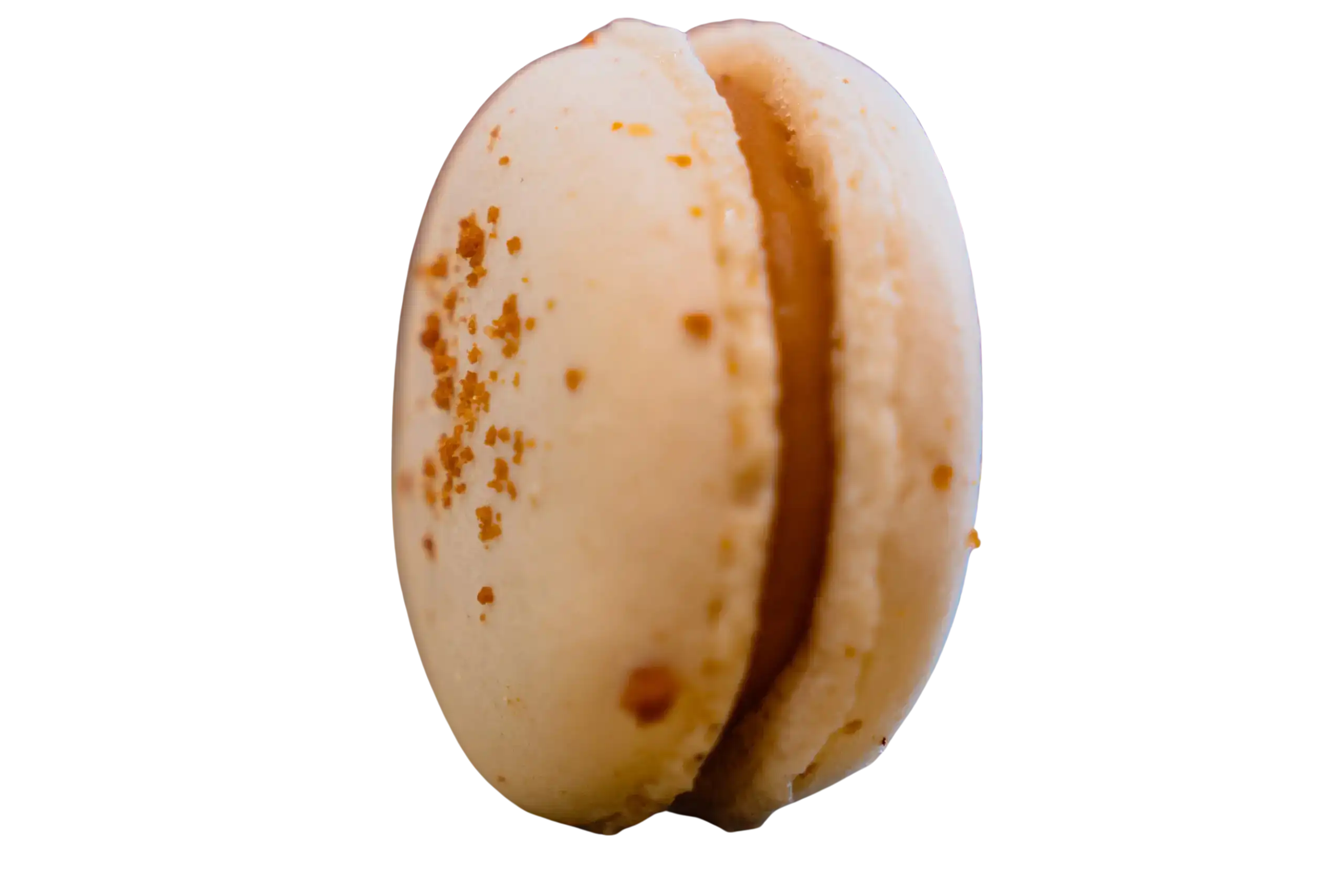Spéculoos