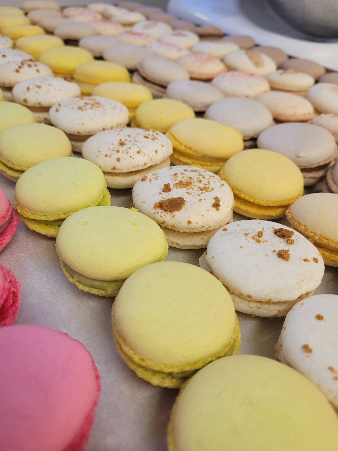 macarons macarons