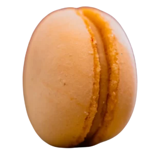 macaron caramel - macarons artisanaux – produits artisanaux de pâtisserie - studio macarons