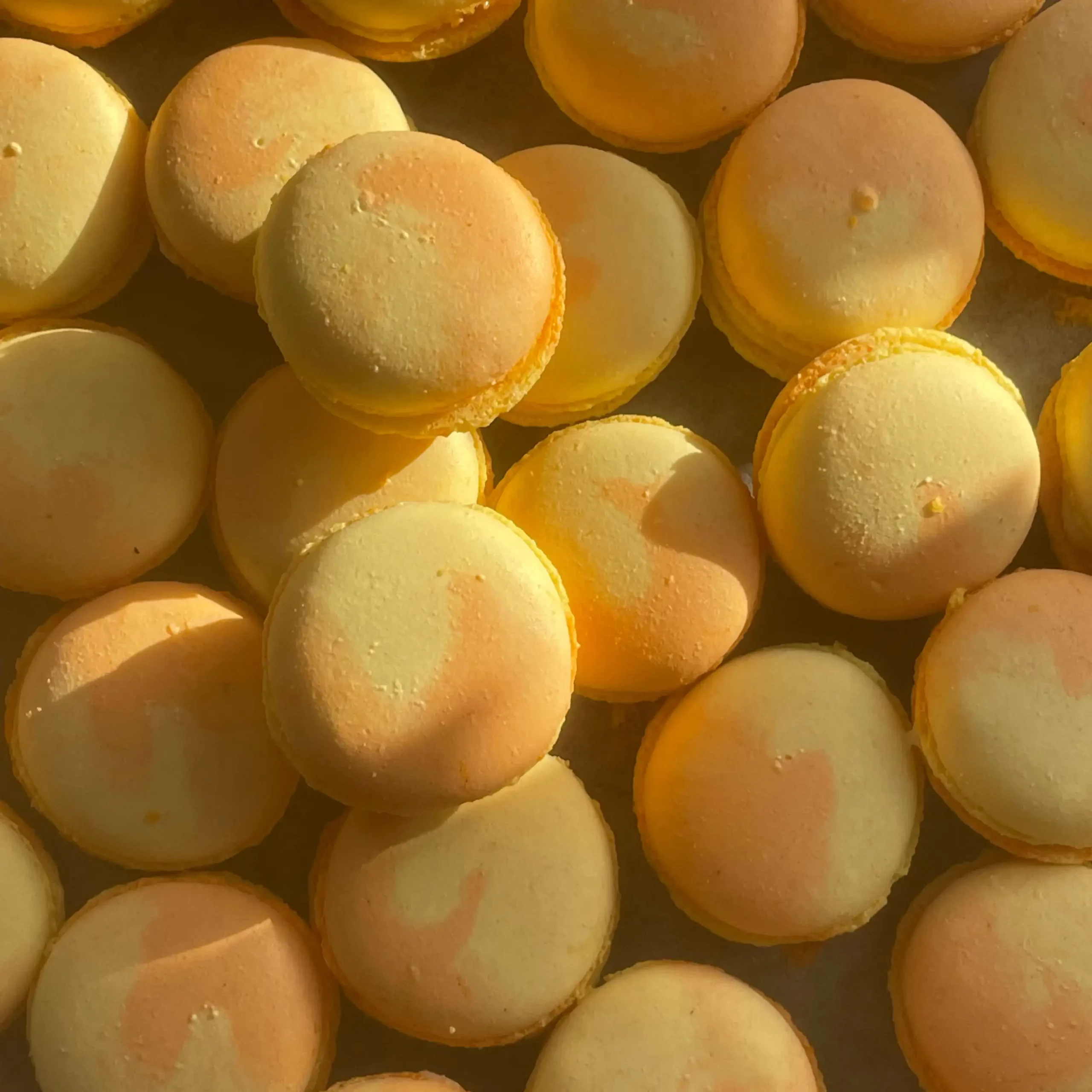 macarons fête des loches comines 2025 - studio macarons