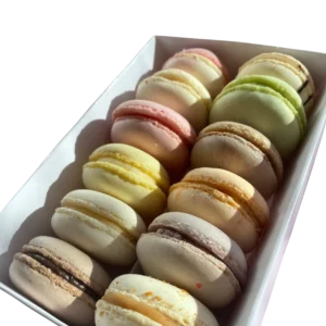 coffret de 12 macarons artisanaux – produits artisanaux de pâtisserie studio macarons