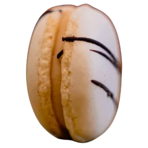 macaron parfum Kueno - macarons artisanaux – produits artisanaux de pâtisserie - studio macarons