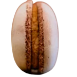 macaron parfum café - macarons artisanaux – produits artisanaux de pâtisserie - studio macarons