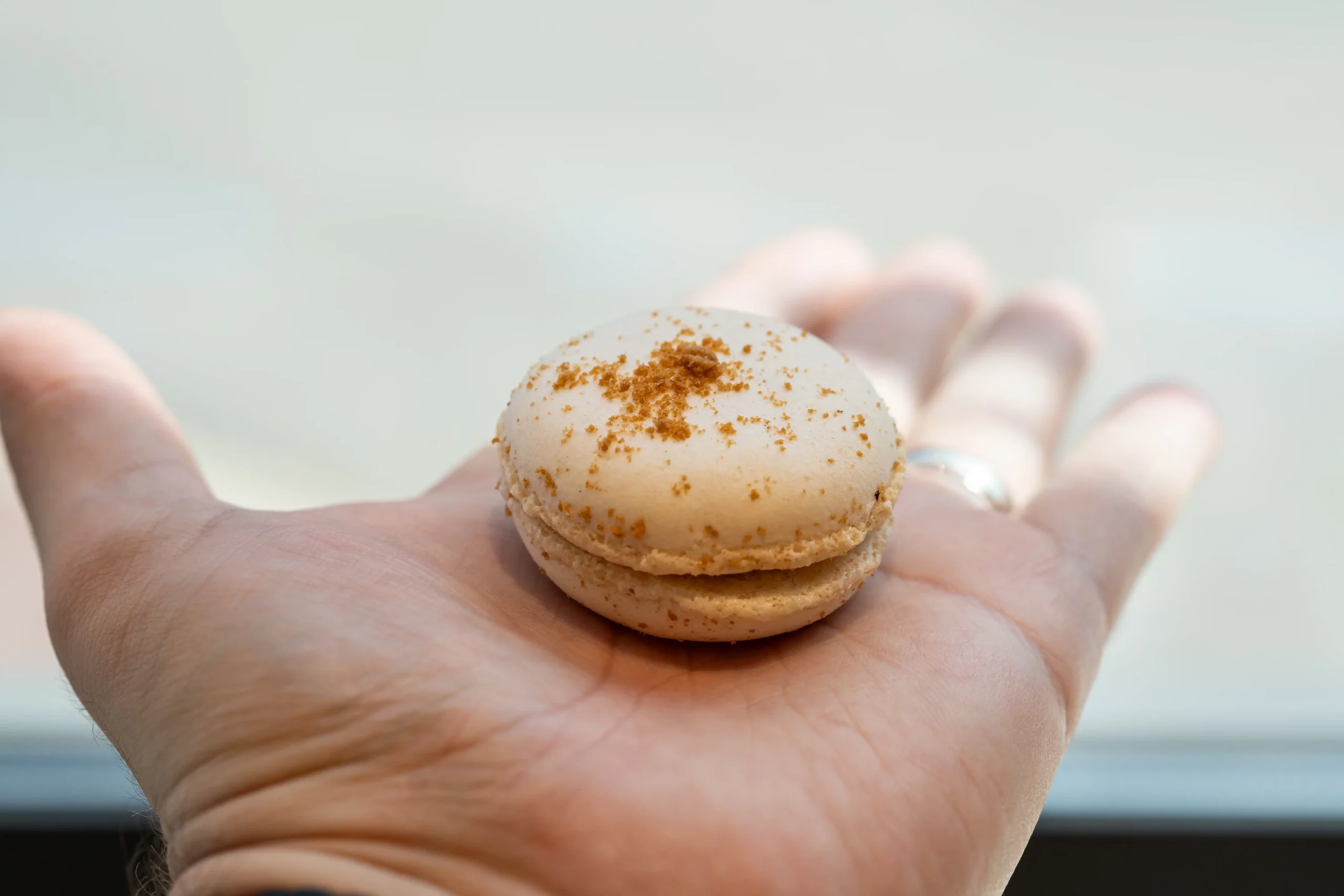 main portant un macaron - studio macarons