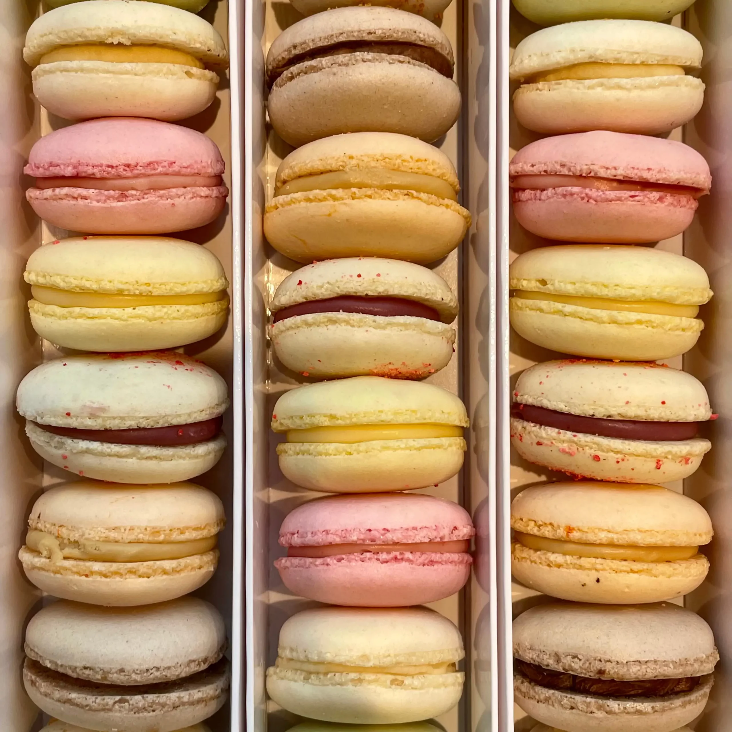 coffret de macarons - studio macarons